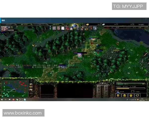 dota1比赛用屠夫-观看一场紧张的Dota 1比赛，屠夫的角色与战术应用-dota1比赛用屠夫