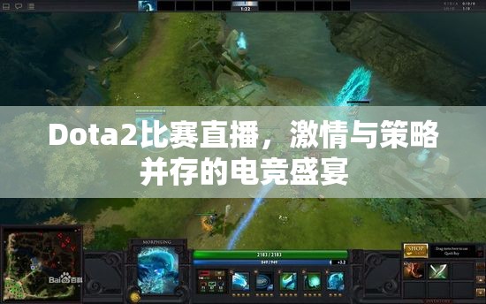 Dota2比赛直播，激情与策略并存的电竞盛宴