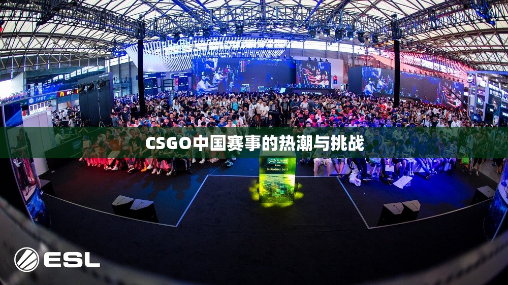 CSGO中国赛事的热潮与挑战